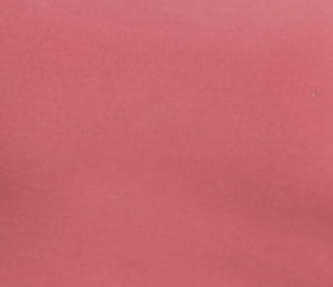 Sutiã Sustentação com Bojo Sem Aro